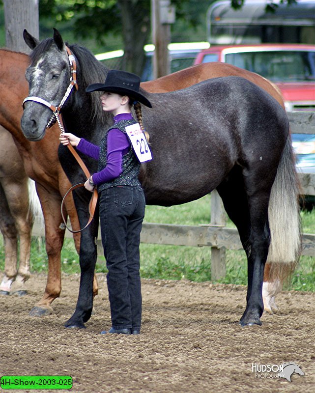 4H-Show-2003-025.jpg