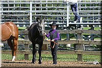 4H-Show-2003-029.jpg