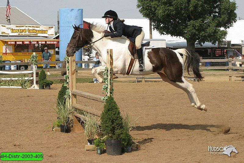 4H-Distr-2003-405.jpg