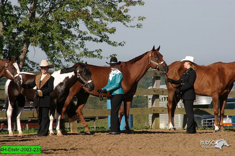 4H-Distr-2003-231.jpg