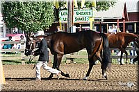 4H-Distr-2003-226.jpg