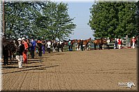 4H-Distr-2003-229.jpg