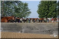 4H-Distr-2003-232.jpg