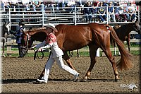 4H-Distr-2003-259.jpg