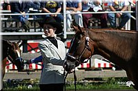 4H-Distr-2003-260.jpg