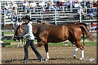 4H-Distr-2003-261.jpg