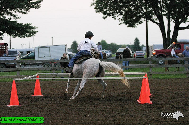 4H-1st-Show-2004-0126.jpg