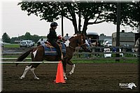 4H-1st-Show-2004-0114.jpg