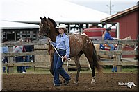 4H-1st-Show-2004-0035.jpg