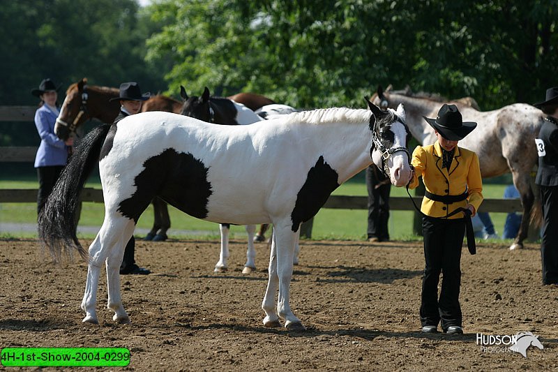 4H-1st-Show-2004-0299.jpg