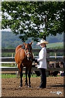 4H-1st-Show-2004-0206.jpg