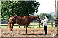 4H-1st-Show-2004-0216.jpg