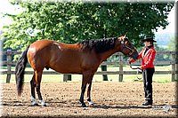 4H-1st-Show-2004-0219.jpg