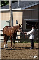 4H-1st-Show-2004-0220.jpg