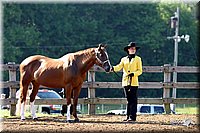 4H-1st-Show-2004-0228.jpg