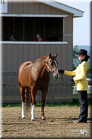 4H-1st-Show-2004-0233.jpg