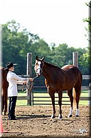 4H-1st-Show-2004-0236.jpg