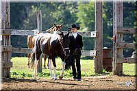 4H-1st-Show-2004-0237.jpg