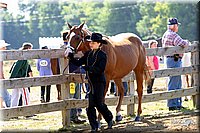 4H-1st-Show-2004-0239.jpg