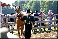 4H-1st-Show-2004-0246.jpg