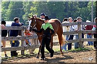 4H-1st-Show-2004-0255.jpg