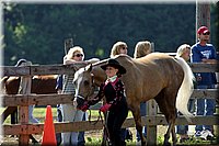 4H-1st-Show-2004-0256.jpg