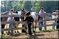 4H-1st-Show-2004-0264.jpg