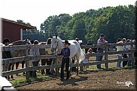 4H-1st-Show-2004-0266.jpg