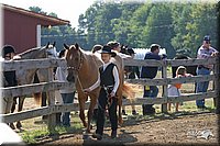 4H-1st-Show-2004-0269.jpg