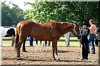 4H-1st-Show-2004-0283.jpg