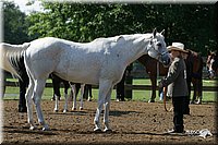 4H-1st-Show-2004-0285.jpg