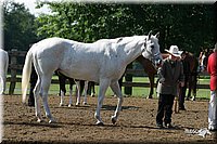 4H-1st-Show-2004-0286.jpg