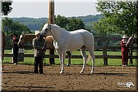 4H-1st-Show-2004-0287.jpg