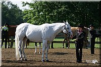 4H-1st-Show-2004-0289.jpg