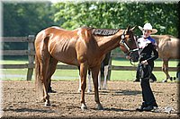 4H-1st-Show-2004-0292.jpg