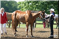 4H-1st-Show-2004-0293.jpg