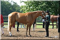 4H-1st-Show-2004-0294.jpg