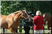 4H-1st-Show-2004-0296.jpg