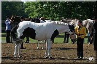 4H-1st-Show-2004-0298.jpg