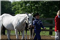 4H-1st-Show-2004-0304.jpg