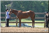 4H-1st-Show-2004-0305.jpg