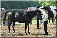 4H-1st-Show-2004-0308.jpg