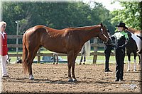 4H-1st-Show-2004-0313.jpg