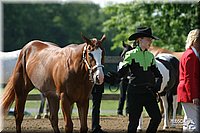 4H-1st-Show-2004-0314.jpg