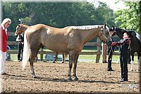 4H-1st-Show-2004-0317.jpg