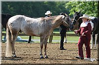 4H-1st-Show-2004-0321.jpg