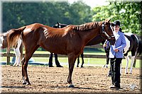 4H-1st-Show-2004-0323.jpg