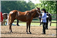 4H-1st-Show-2004-0324.jpg