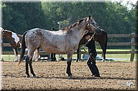 4H-1st-Show-2004-0327.jpg