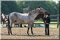 4H-1st-Show-2004-0328.jpg